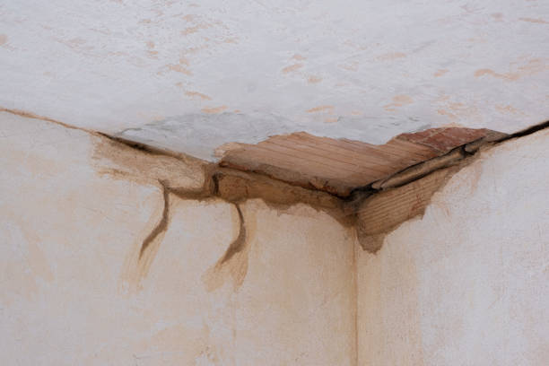 Best Local water damage restoration  in Shippensburg University, PA
