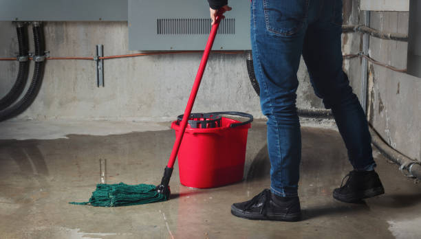 Best Basement water damage restoration  in Shippensburg University, PA