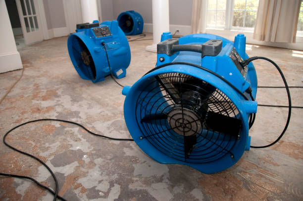 Best Flooded house restoration  in Shippensburg University, PA