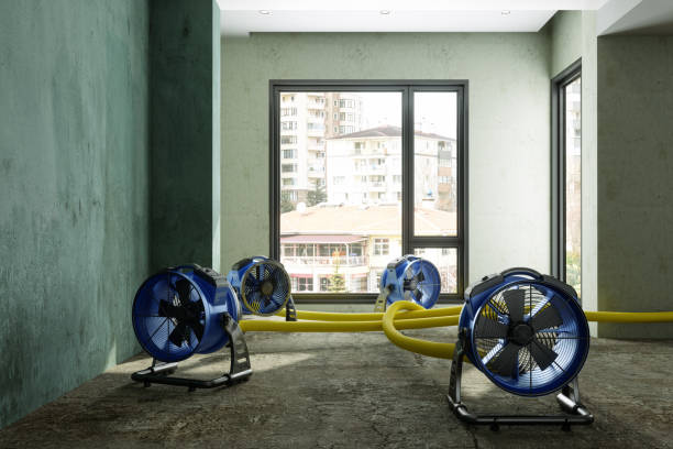 Best Water damage cleanup near me  in Shippensburg University, PA