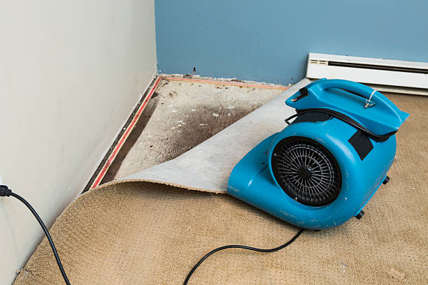 Best Commercial water damage restoration  in Shippensburg University, PA
