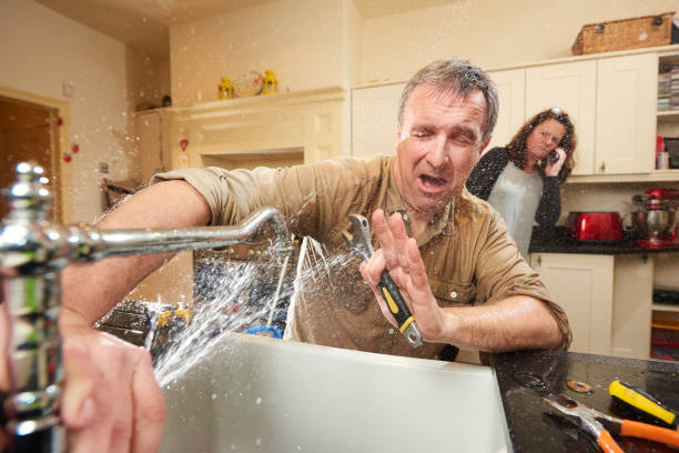 Best Mold removal after water damage  in Shippensburg University, PA